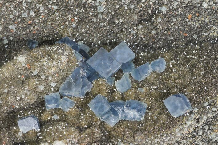 Blue Cubic Fluorite on Smoky Quartz - China #147116